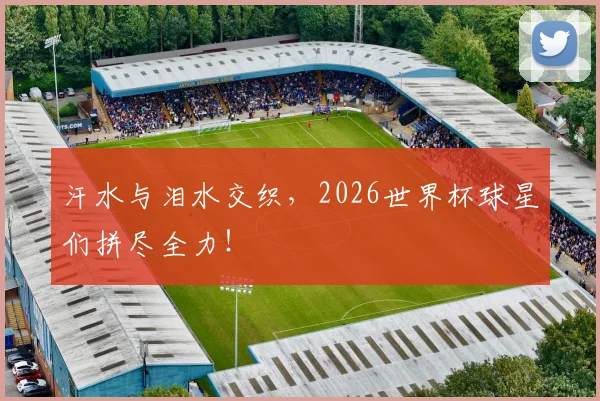 汗水与泪水交织，2026世界杯球星们拼尽全力！