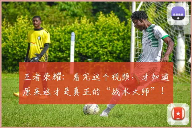 王者荣耀：看完这个视频，才知道原来这才是真正的“战术大师”！